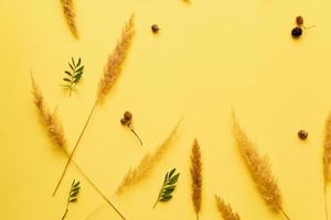 wheat scattered on a yellow  background. Copy space photo