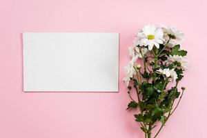 Fresh camomiles  and empty white sheet on pink background. - Copy space left photo