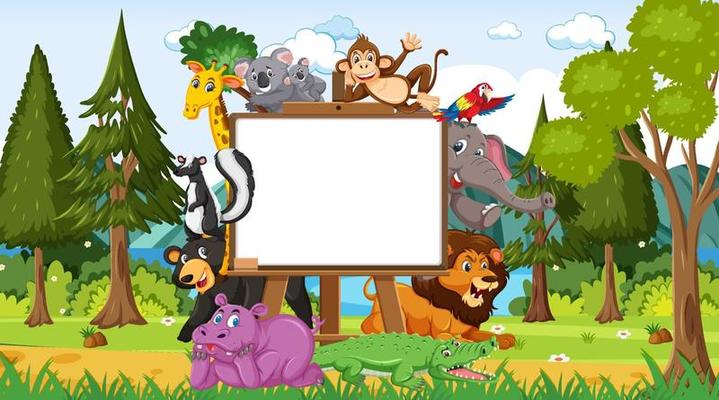 Empty wooden frame with various wild animals in the forest