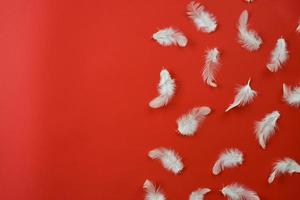 Feathers are spread out on a red background photo