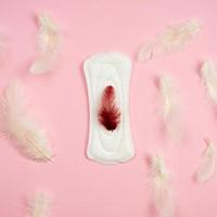 One pads with red  feather in the centre, white feathers on pink background. - Image photo