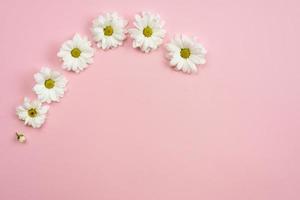 Minimalistic  pink background with chamomile heads and copy space. Spring motive. photo