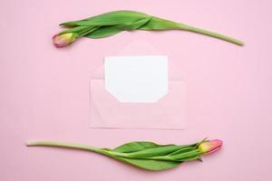tulipanes rosados, pedazo vacío de tarjeta de papel y sobre aislado sobre fondo rosa. Copie el espacio para el texto. concepto femenino plano laical. simulacro de vista superior foto