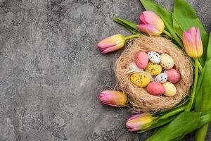 Tulipanes frescos y huevos de colores en el nido se encuentran en el fondo de yeso gris, copyspace foto