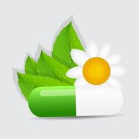 Herbal pill icon.Environment background vector illustration