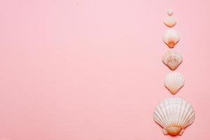 On a pink background laid out seashells, the mention of rest photo