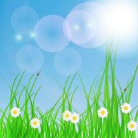 Spring green background. Grass and flower. vector