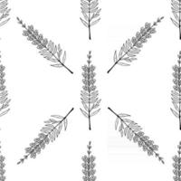 snapdragon, seamless b-w vector