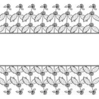 White horehound, border frame vector