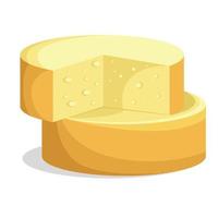 imagen vectorial de un rollo de queso redondo vector