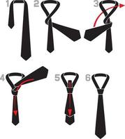 Tie and Knot Instructions vector