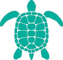 Turtle Icon in Color vector