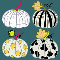 pumpkins deign set with graphic pattern on four pumpkin drawing autumn and fall leaves hand drawn art vector