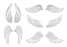 Set of hand drawn bird or angel wings of different shape in open position. Contoured doodle wings set vector