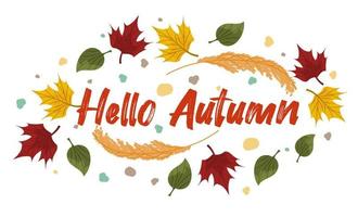 Vector composition with autumn leaves, text hello autumn. Colorful maple, ash leaves with rowan berries and wheat dots and a place for text