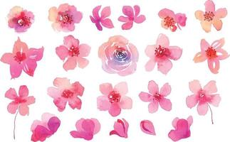 Collection of pink flowers in watercolor vector