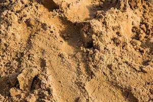 Texture of yellow building sand close up photo