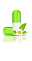 Herbal pill icon.Environment background vector illustration