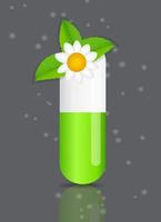 Herbal pill icon.Environment background vector illustration