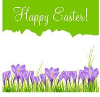 Happy Easter Card with Crocuses Vector Illustration