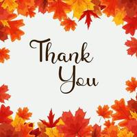 Thank you autumn natural background template with falling leaves vector