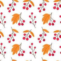 Bright seamless pattern with autumn berries and golden leaves vector