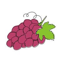 Continuous line art drawing grape fruit vector