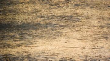 Wood texture, wood planks background and old wood. photo