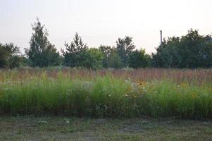 Panorama of the area in the village photo