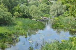 A mountain river flows with stone banks photo