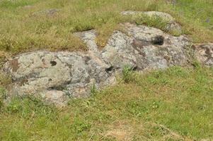 Ancient large stones in the field photo