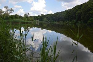 Panorama of a picturesque lake photo