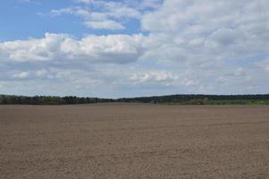 Panorama of a spring field weeded by a tractor