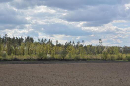 Panorama of a spring field weeded by a tractor photo