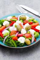 Vegetable salad with cheese mozzarella, tomatoes, basilikum and spice. photo