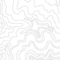 rayas de patrón de vector abstracto y círculos aislados formas irregulares. Fondo monocromático vista superior de la tarjeta ondas de contorno