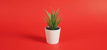 Artificial cactus plants or plastic or fake tree on red background.no people photo