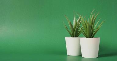 Two Artificial cactus or plastic plants or fake tree on green background.no people photo