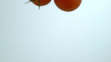 Tomatoes splashing into water in slow motion shot on Phantom Flex 4K at 1000 fps