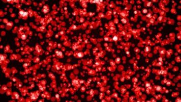 red particle background loop animation video