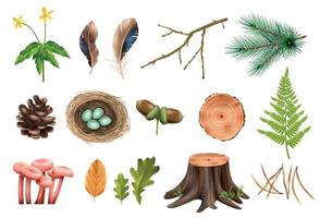 colección de iconos de bosque realista vector