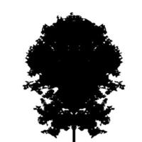 Tree Silhouette Isolated on White Backgorund. Vecrtor Illustration vector