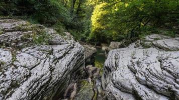 hermoso bosque y río de montaña en el cañón de psakho, krasnodar krai, rusia. foto