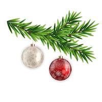 Spruce branch fir with christmas ball. Vector Illustration