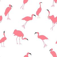 Colorful pink flamingo isolated on white background. Seamless pattern vector