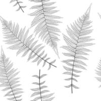 Fern Leaf Vector Fern Leaf Seamless Pattern Background