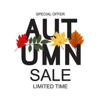 Abstract Autumn Sale Background with Falling Autumn Leaves vector