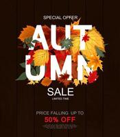 Abstract Autumn Sale Background with Falling Autumn Leaves vector