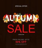 Abstract Autumn Sale Background with Falling Autumn Leaves vector