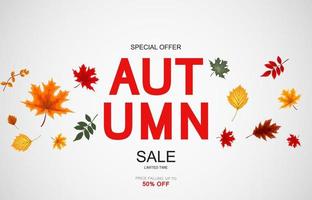 Abstract Autumn Sale Background with Falling Autumn Leaves vector